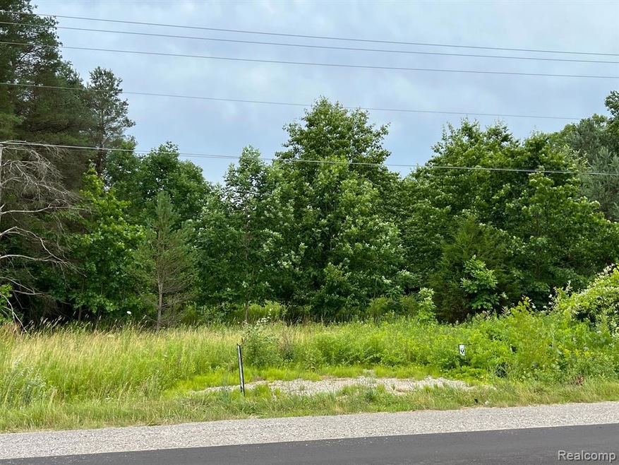 7181 W Mount Morris Rd, Flushing Township, MI 48433 - photo 1