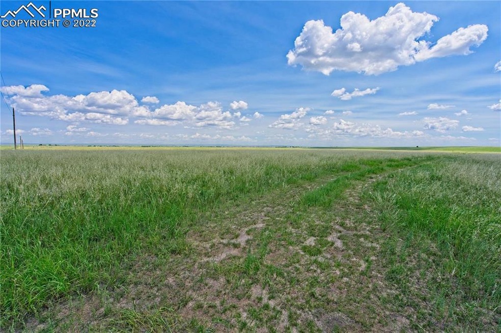 20305 Joyful View, Peyton, CO 80831 - photo 1