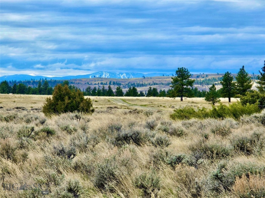 View of Beartooth Mountains from top of property