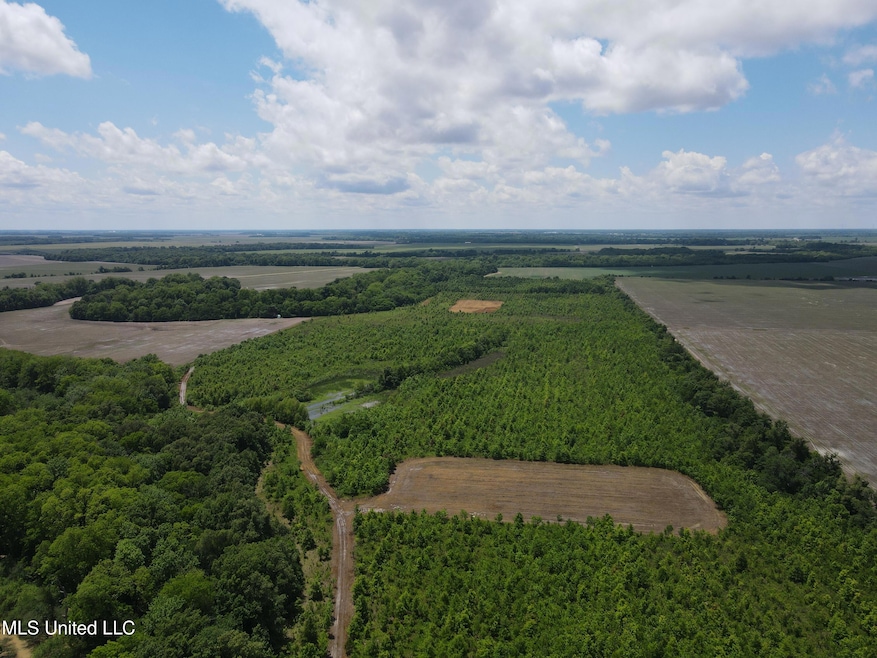 0 Brahan Rd, Sledge, MS 38670 - photo 1