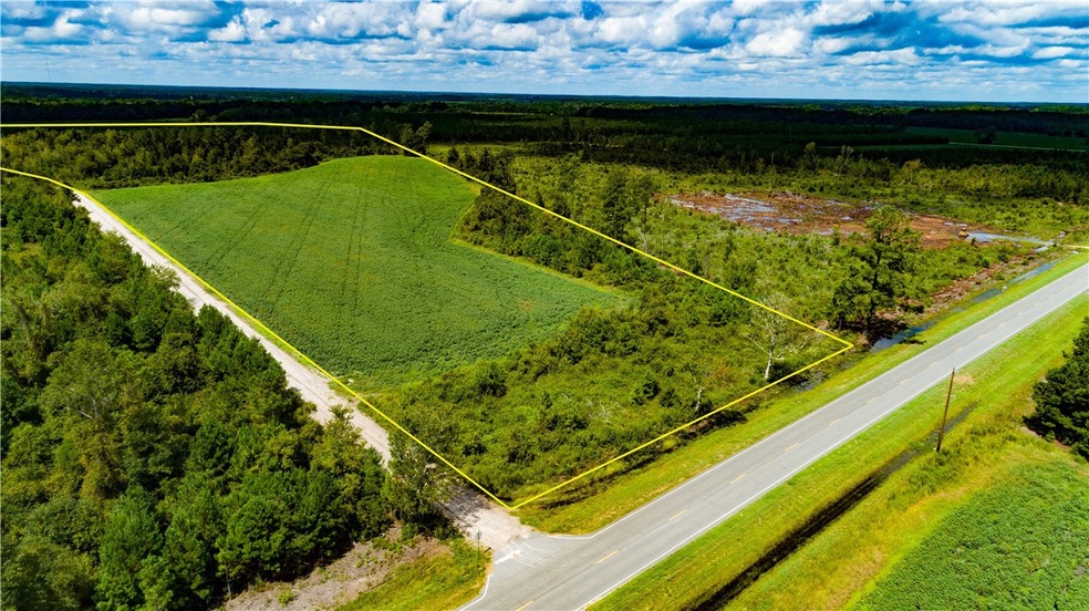 0 Blackshear Hwy unit 1636195, Surrency, GA 31563 - photo 1