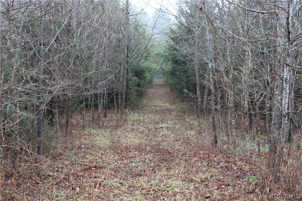 7.010 ACRES Genito Rd, Amelia Ct Hse, VA 23002 - photo 1