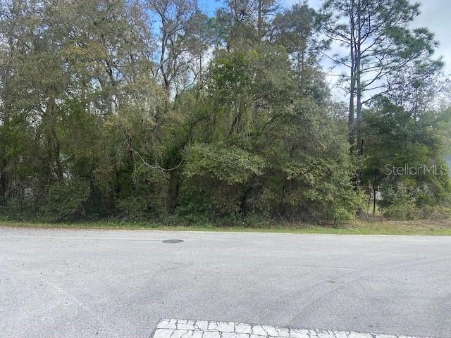 0 SW 188th Cir unit MFRFC300518, Dunnellon, FL 34432 - photo 1
