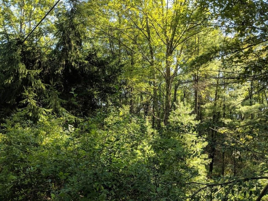 51 Old Plank Rd, Deerpark, NY 12566 - photo 1