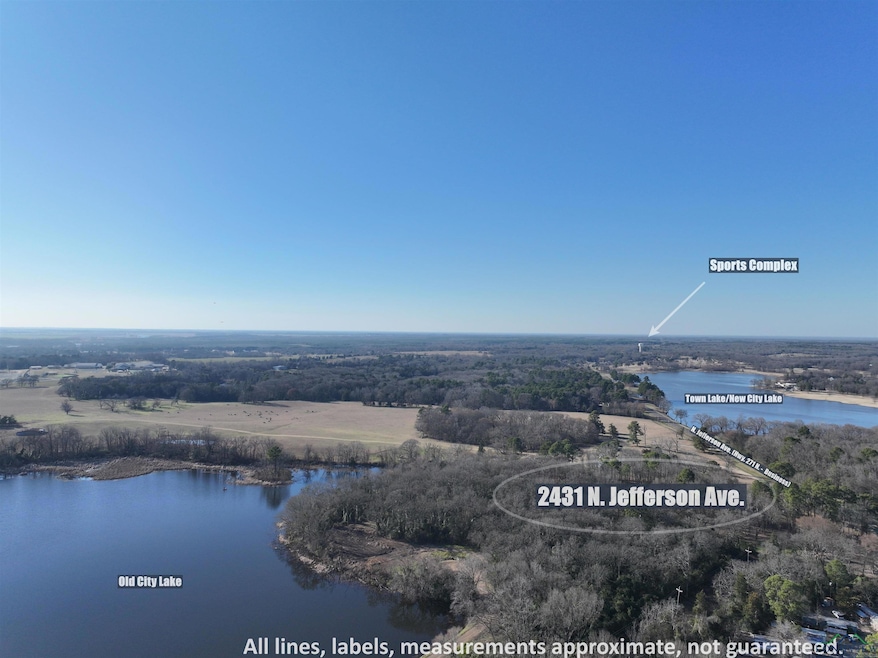 Bird's eye view of a large body of water