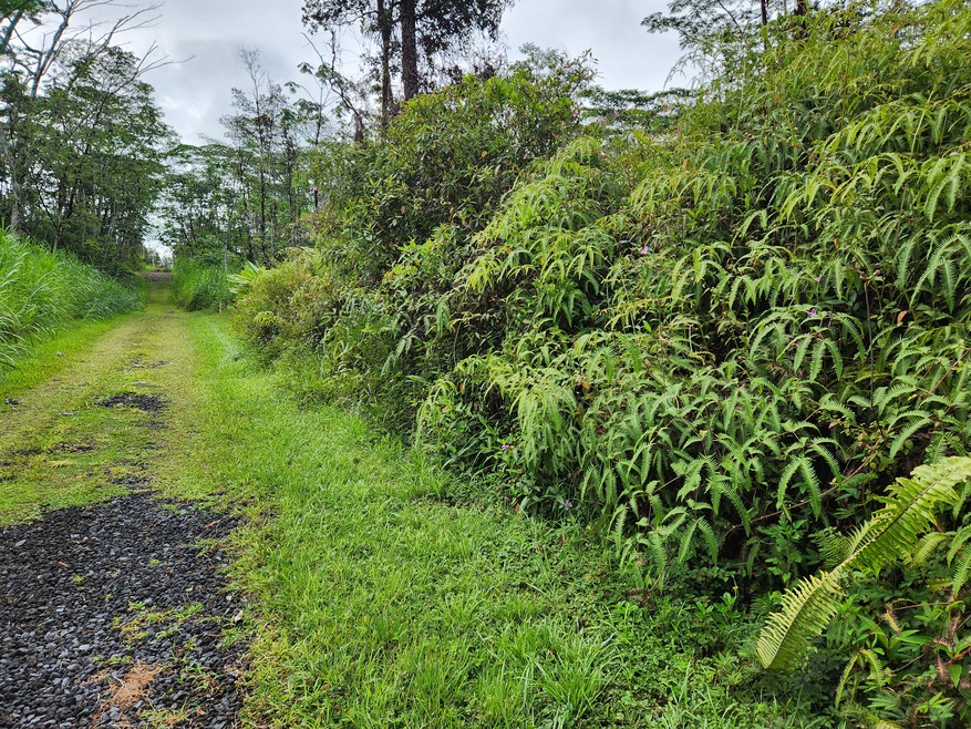 Undeveloped Maui Rd - no neighbors on either side of the lot