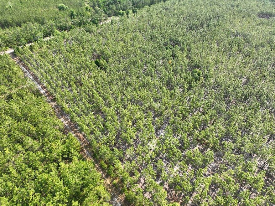 0 Ralph Davis Rd, Folkston, GA 31537 - photo 1