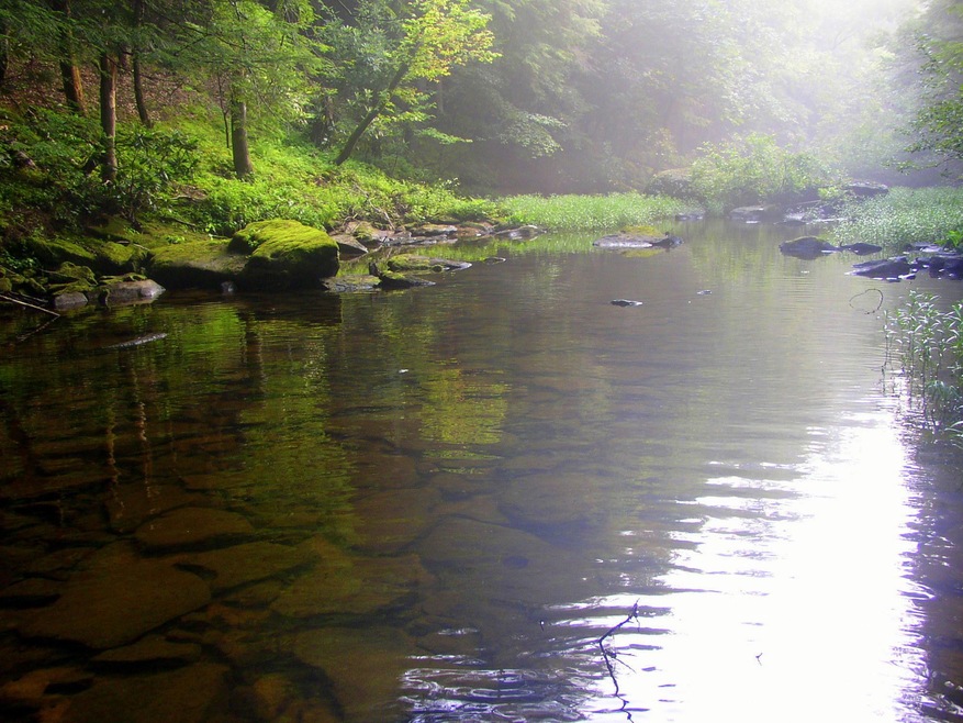 White Creek