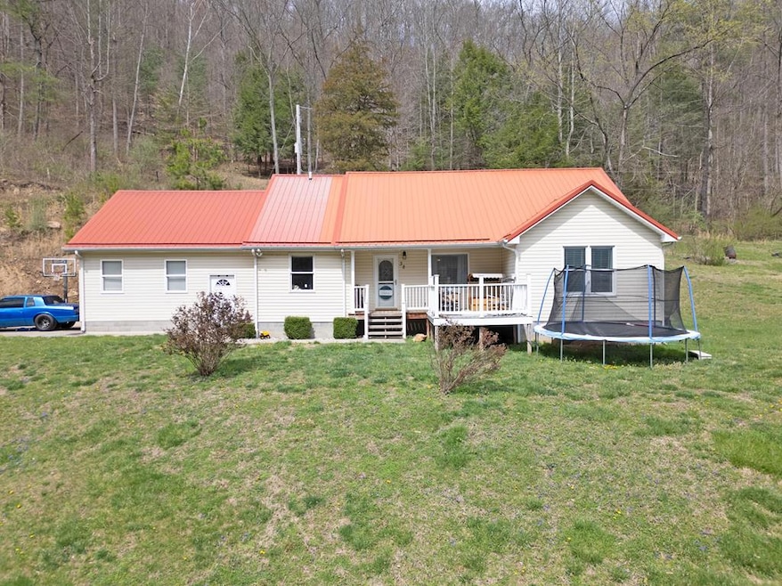 Main View