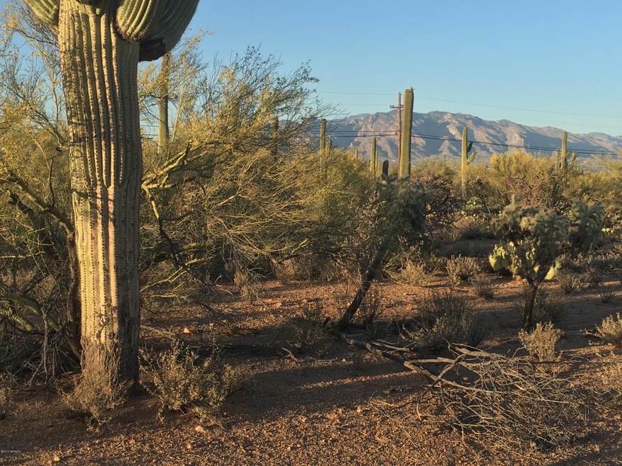 LOT 5 ~ LAZY C RANCH