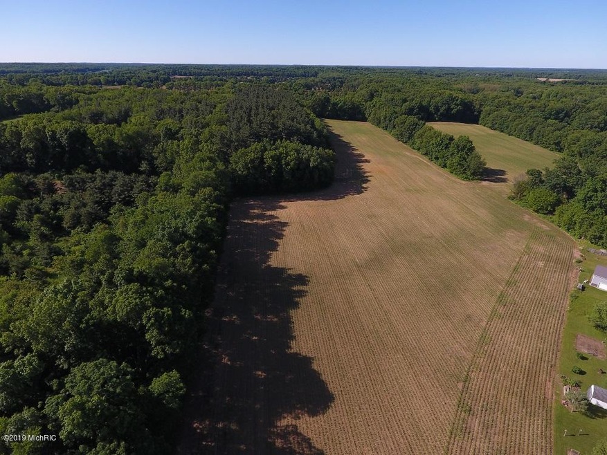 DJI_0037