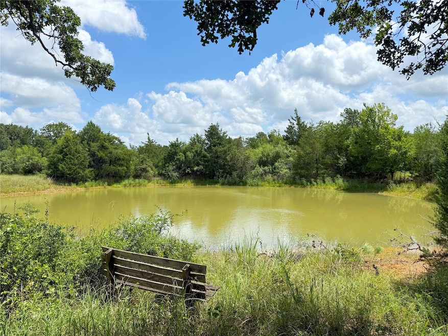 TBD Grassyville Rd, Paige, TX 78659 - photo 1