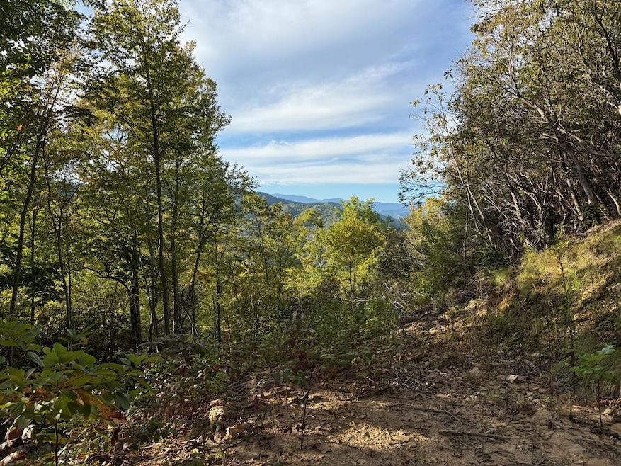 345 Cardinal Bluff Dr, Whittier, NC 28789 - photo 1