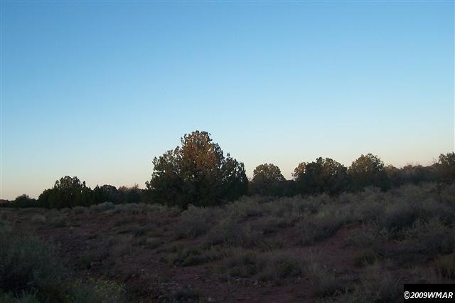 4200 Indian Bend Rd unit 4204 and 4206 Indian, Snowflake, AZ 85937 - photo 1