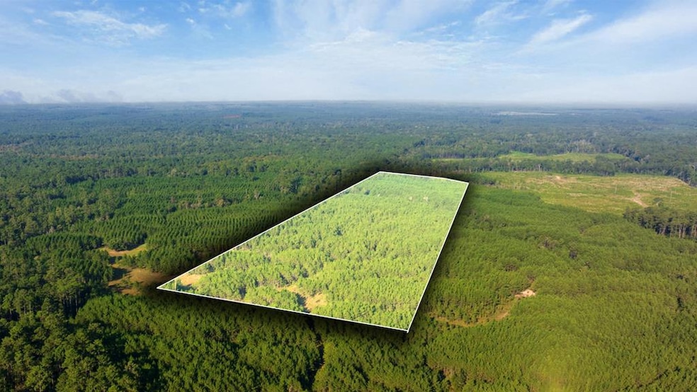 107540 County Road 037, Jasper, TX 75951 - photo 1