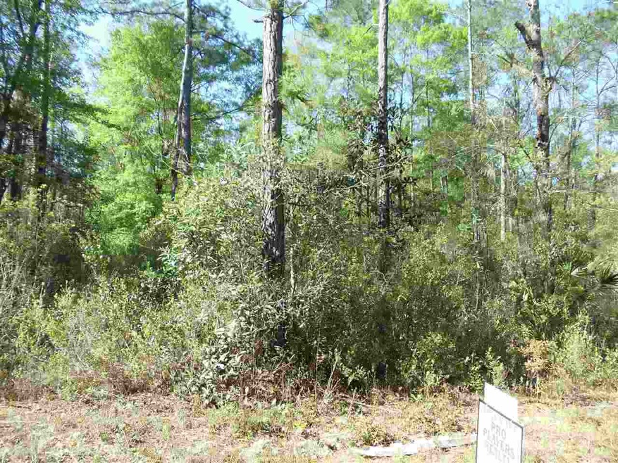 0 W Osprey Ln unit 255698, Monticello, FL 32344 - photo 1