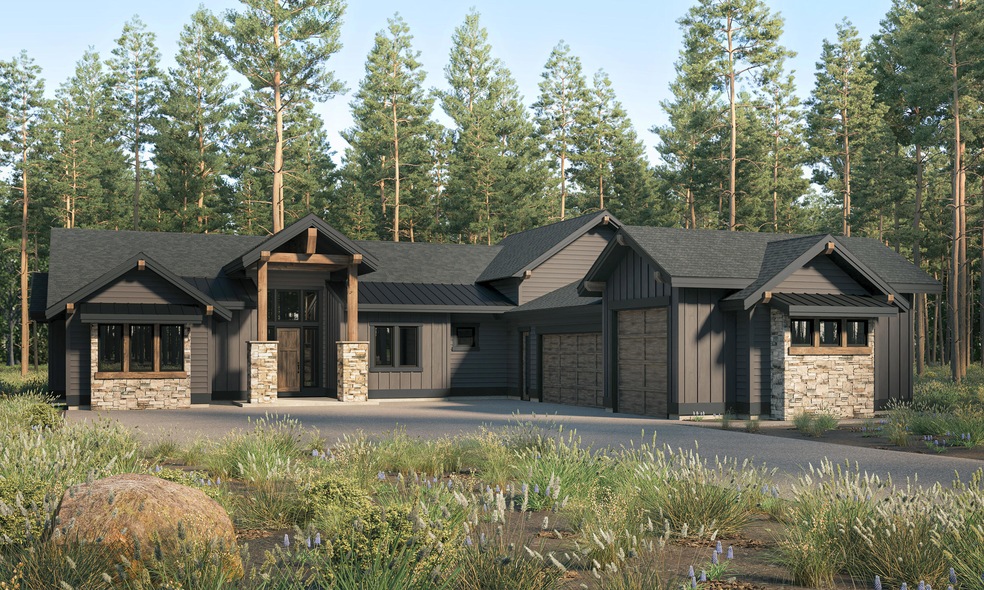 artists rendering