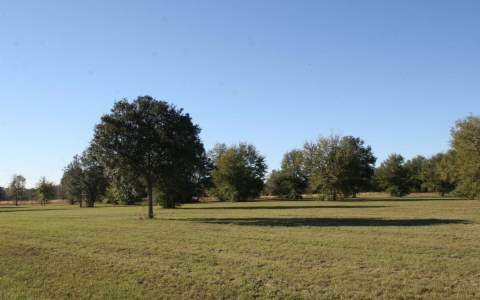 LOT61 Mandiba Dr, Columbia City, FL 32024 - photo 1