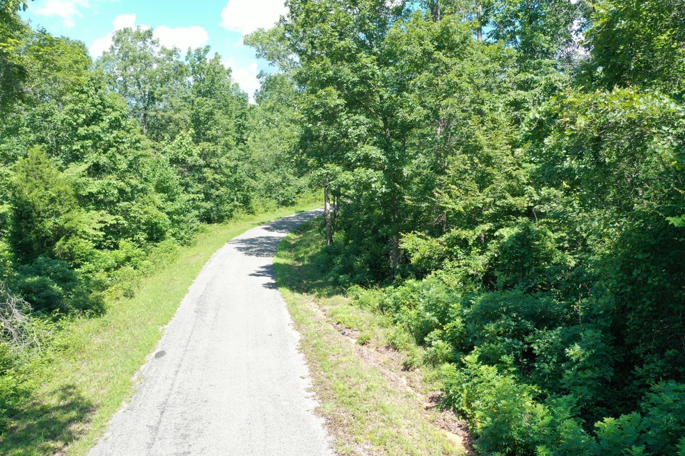 1921 McGee Rd, Linden, TN 37096 - photo 1
