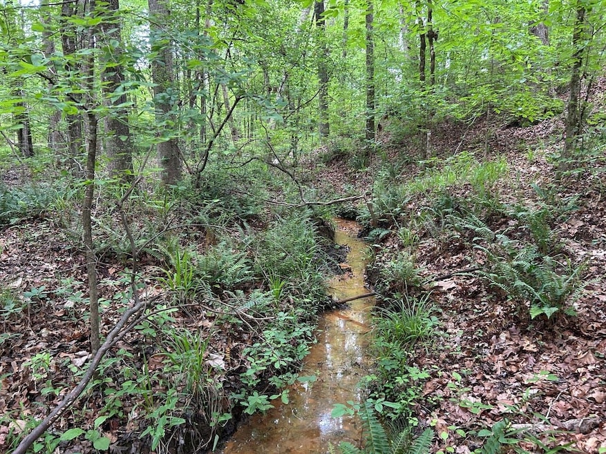 0 Mcdade Rd unit 23668134, Eatonton, GA 31024 - photo 1