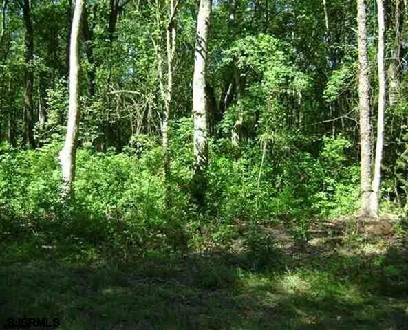 Locust Locust Ave, Milmay, NJ 08340 - photo 1