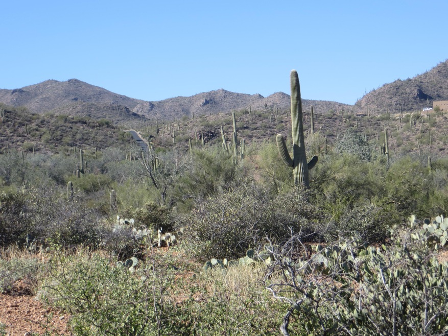 Lightning Ridge Trail