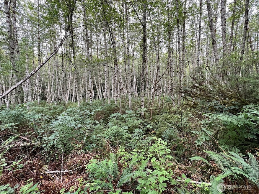 4 XX Scenic Dr NE, Poulsbo, WA 98370 - photo 1