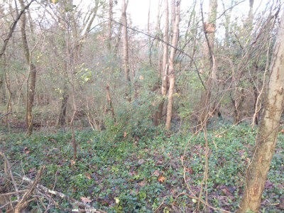 0 Hideaway Rd unit RTC2726845, Ooltewah, TN 37363 - photo 1