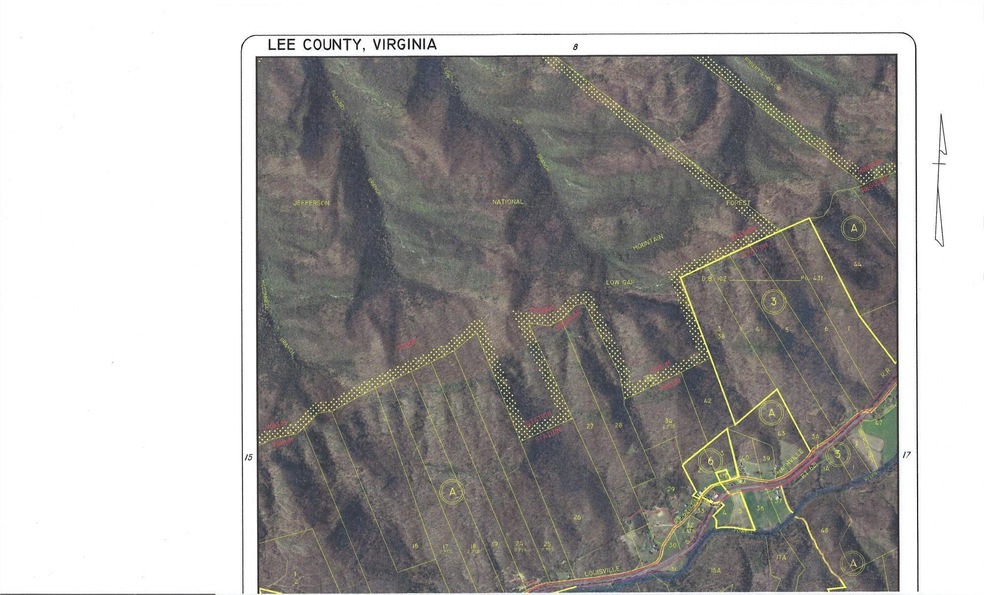 Lee COVA tax___property map