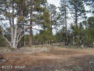 2014 Judy Ranch Rd- Ad Photo