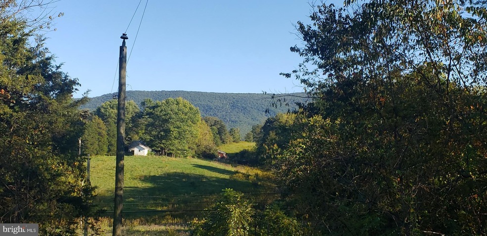 unlisted-address, Edinburg, VA 22824 - photo 1