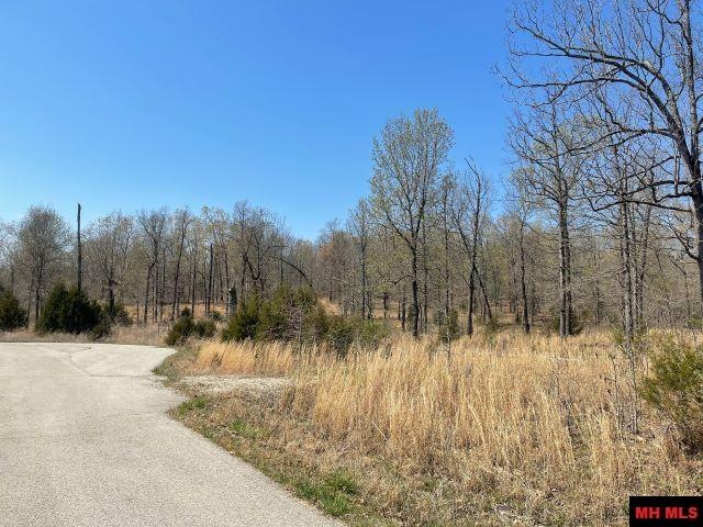 173 Ross Ln, Elizabeth, AR 72531 - photo 1