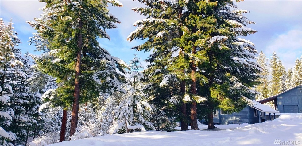 21 Bunker Rd, Ronald, WA 98940 - photo 1