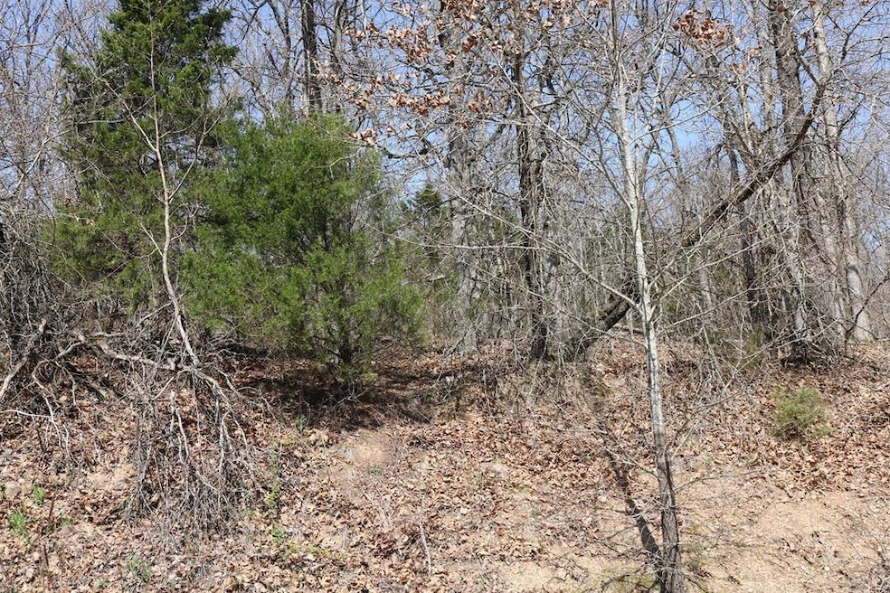 0 Oniell Dr, Bella Vista, AR 72715 - photo 1