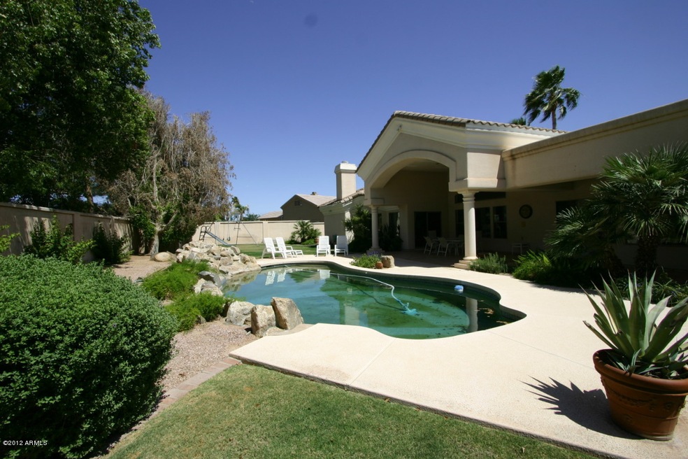 Scottsdale Backyard