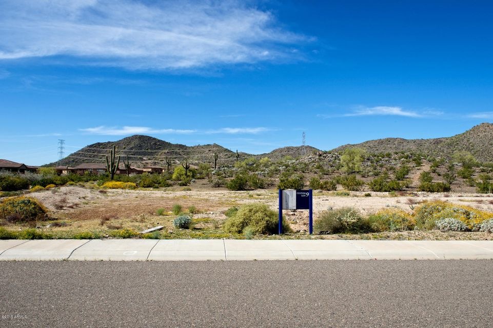 Lot 9.jpg