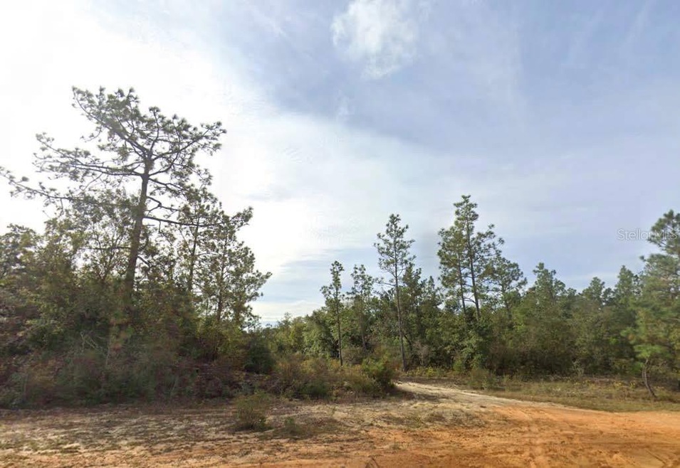 0 Kings Dr unit MFRO6327789, Chipley, FL 32428 - photo 1