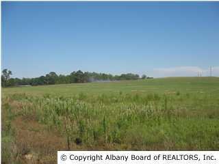 0000 Moultrie Rd, Doerun, GA 31705 - photo 1