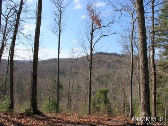 Lot #21 Big Raven Lane