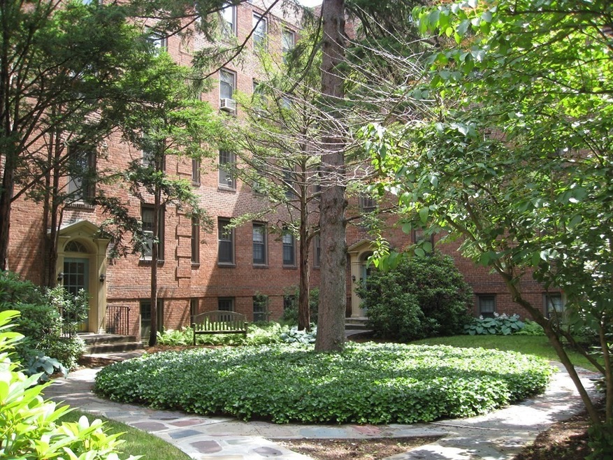 12 Ware St unit 1, Cambridge, MA 02138 - photo 1