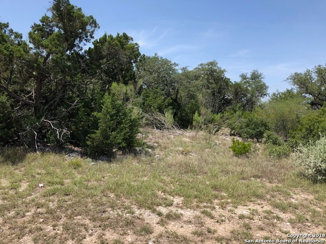 19307 Terra Brook, San Antonio, TX 78255 - photo 1