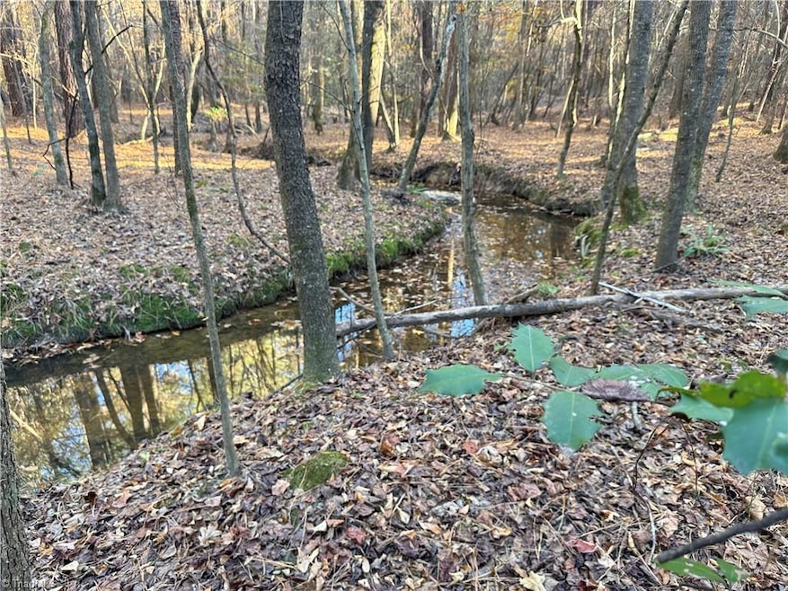 19.6 acres Willie Rd, Seagrove, NC 27341 - photo 1