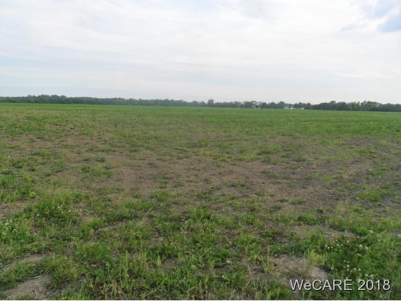 0 Rd Z, Columbus Grove, OH 45830 - photo 1