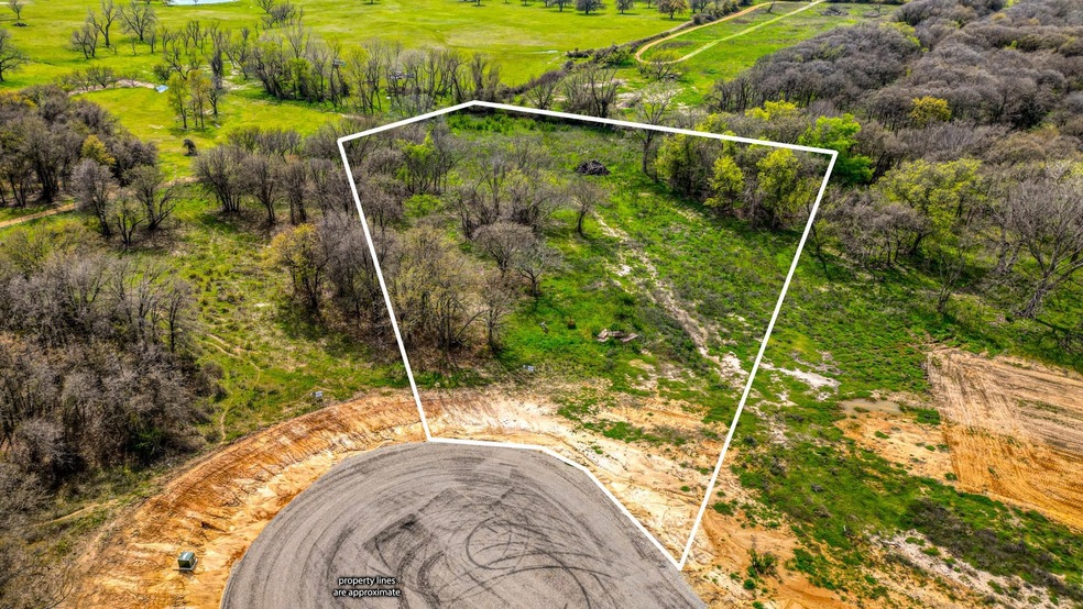Lot 11 Sedona Creek Ct, Poolville, TX 76487 - photo 1