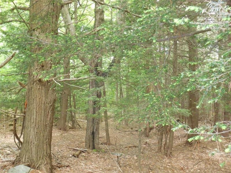 250 Drews Mill Rd, Biddeford, ME 04005 - photo 1