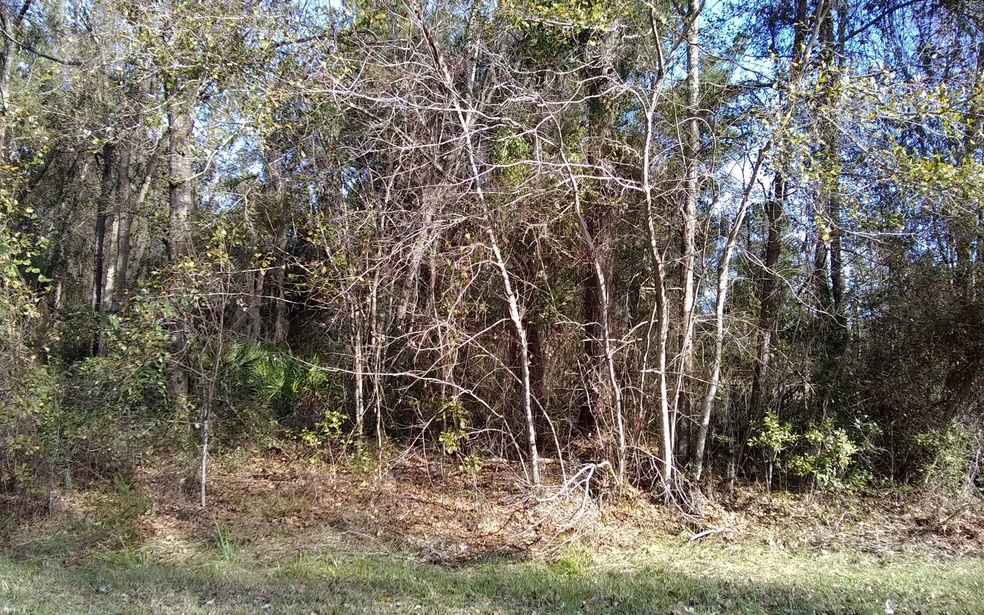 0 NW Scenic Lake Dr unit 103712, Lake City, FL 32055 - photo 1