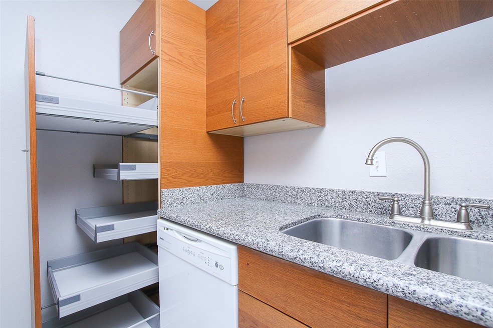 fully remodeled contemporary kitchen with pull ot