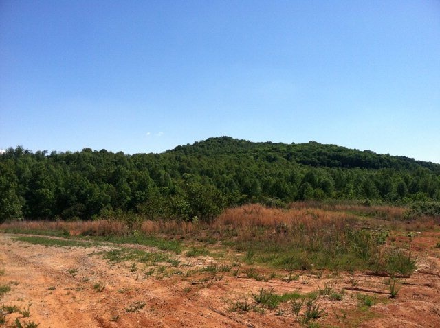 4112 Officers Chapel Rd, Cookeville, TN 38506 - photo 1