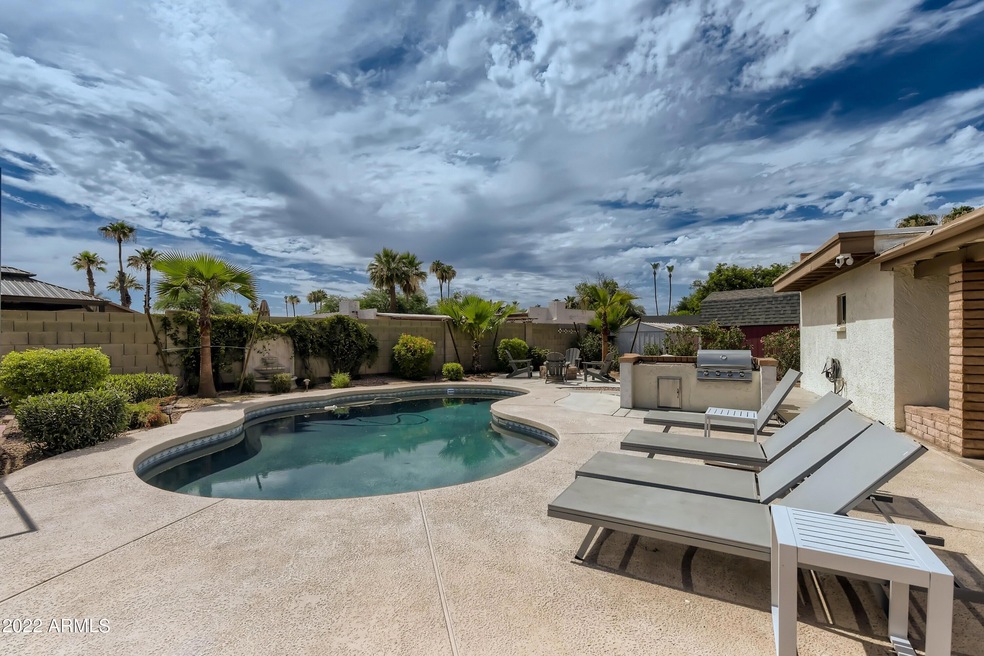 29 Back Yard
