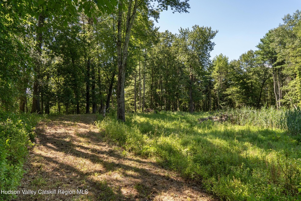 43 Buttermilk Falls Rd, Catskill, NY 12414 - photo 1